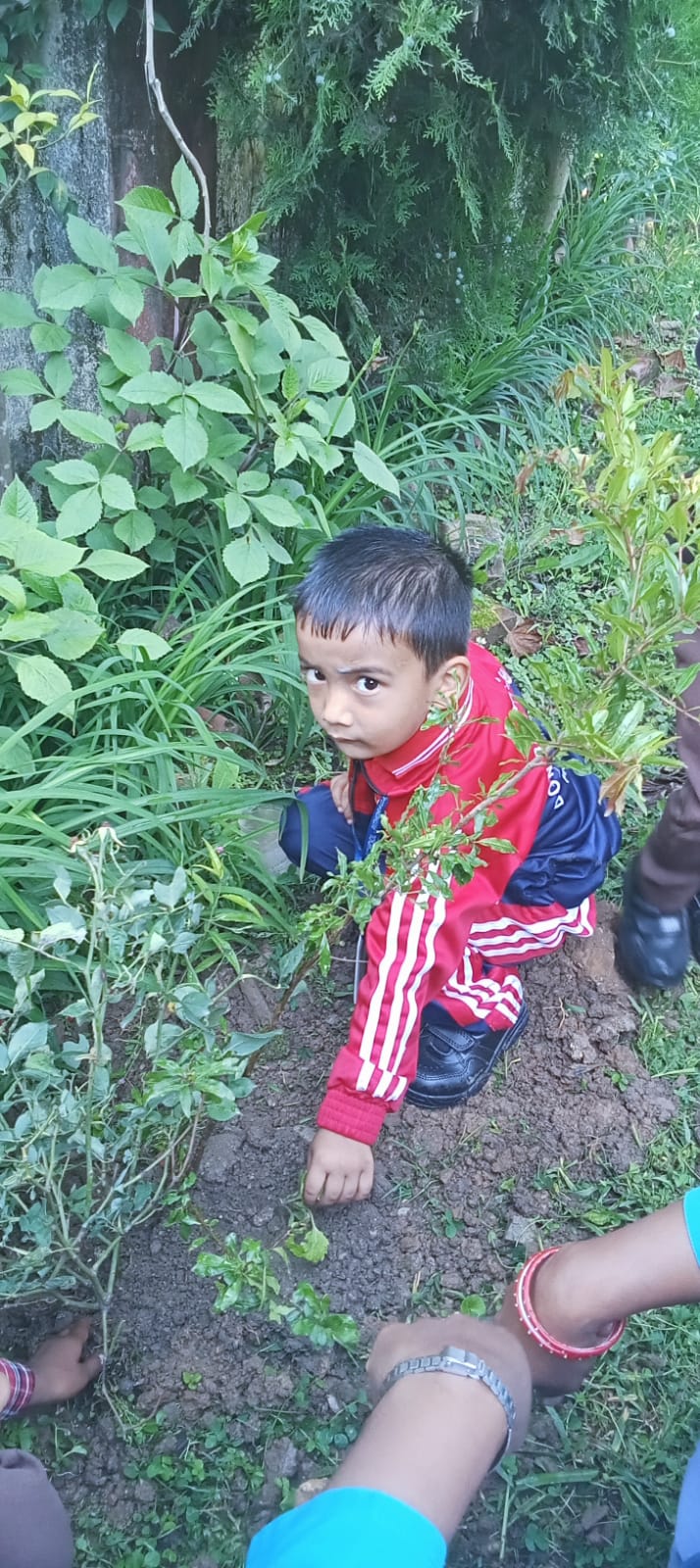 world environment day 2025